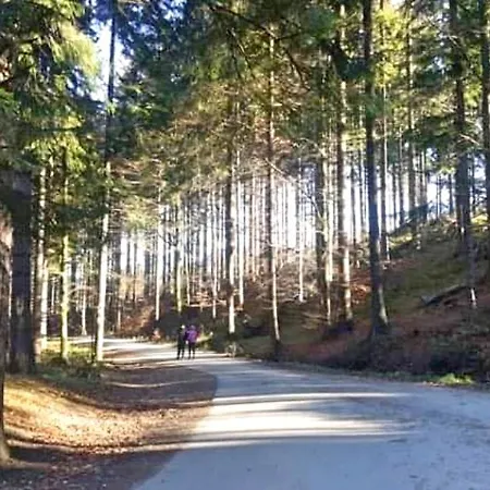 Cichy Zakatek Ujsoly