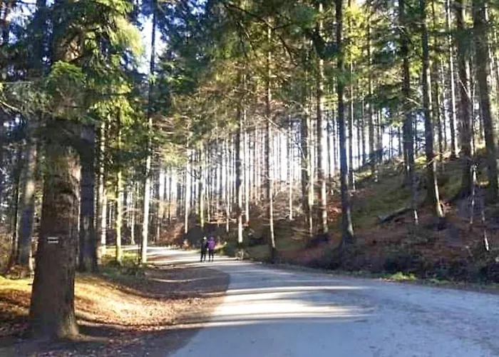 Cichy Zakatek Ujsoły