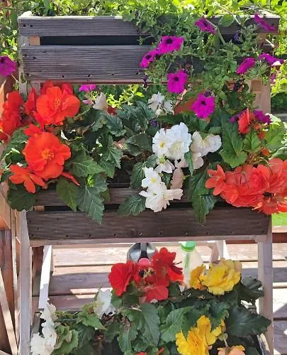 וילה Cichy Zakatek *